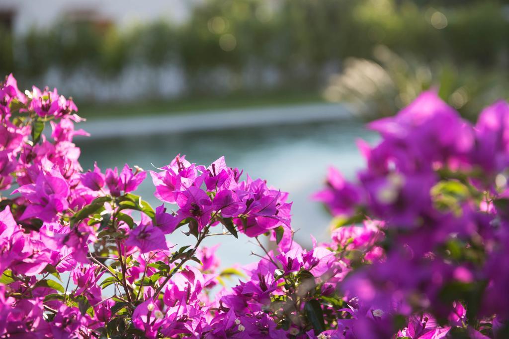 Romantic Hotel & Restaurant Villa Cheta Elite 마라테아 외부 사진
