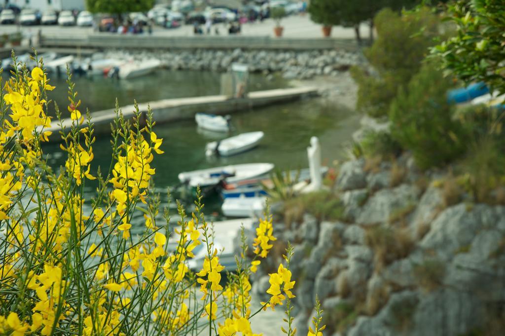 Romantic Hotel & Restaurant Villa Cheta Elite 마라테아 외부 사진